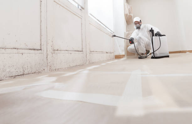 24/7 Emergency Mold Removal experts in Ashland, KY